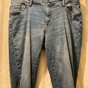 Anthropologie Pilcro 20w relax straight leg Jeans